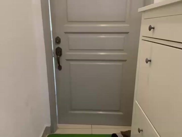 Video Image 1