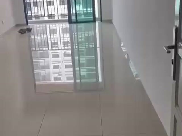 Video Image 1