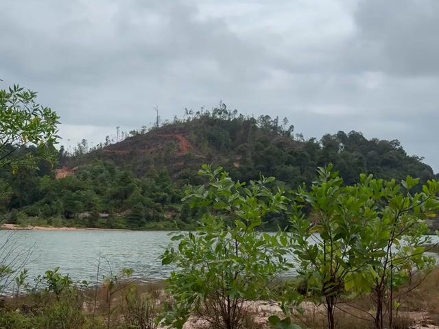 Video Image 1
