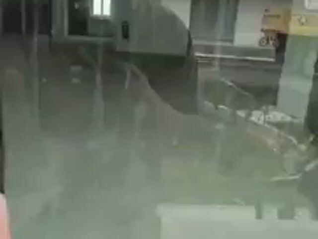 Video Image 1