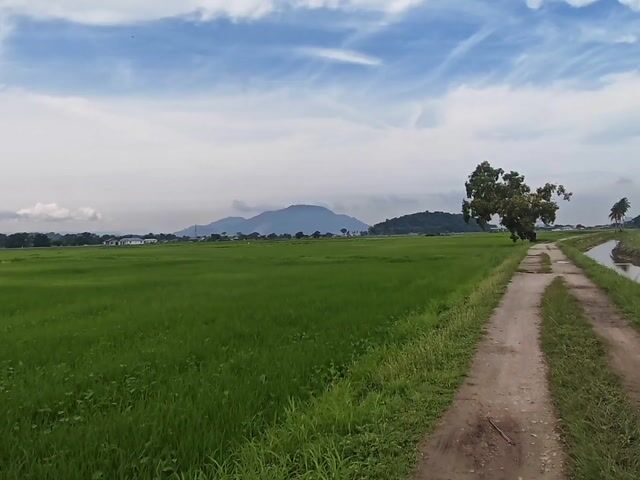 Video Image 1