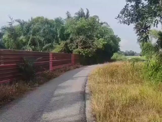 Video Image 1