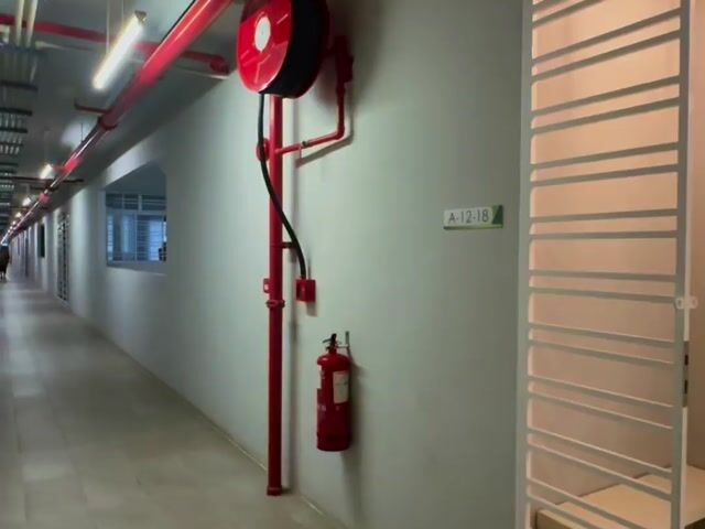 Video Image 1