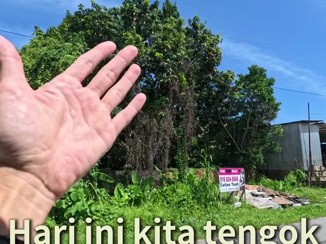 Video Image 1