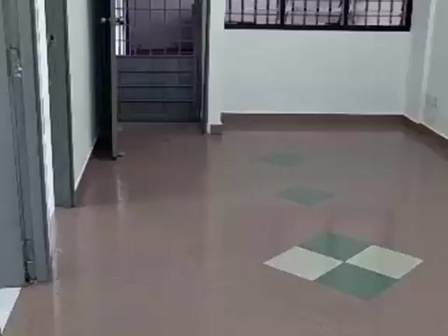 Video Image 1