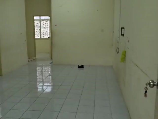 Video Image 1