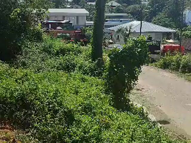 Video Image 1