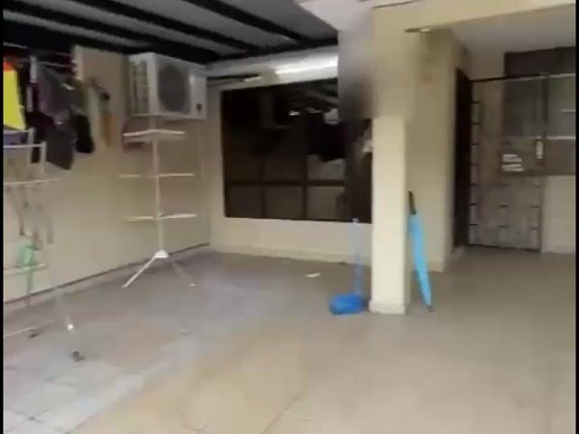 Video Image 1