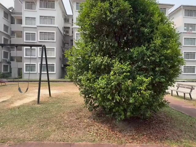 Video Image 1