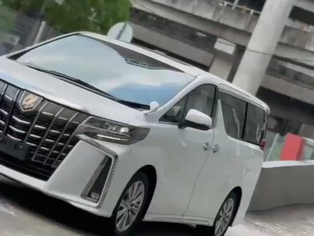 【ROOF，DIM，BSM】⭐Toyota ALPHARD 2.5 S TYPE GOLD II - 1