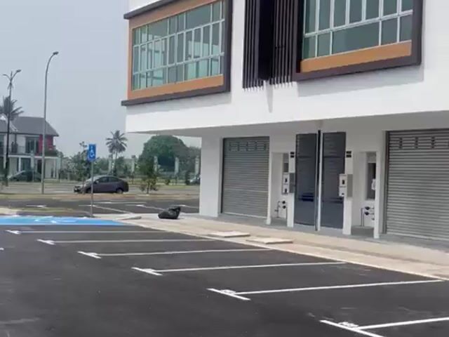 Video Image 1