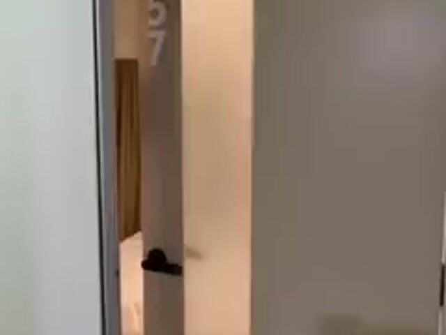 Video Image 1