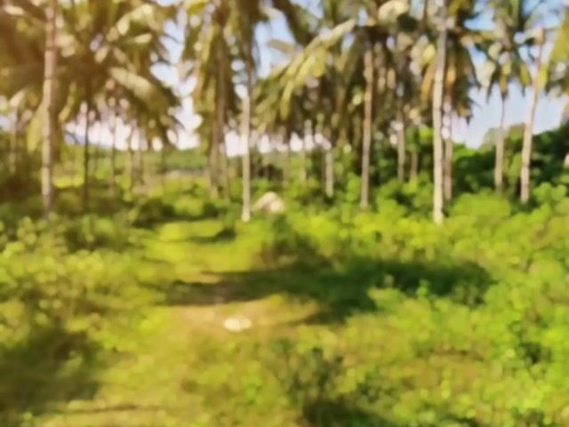 Video Image 1