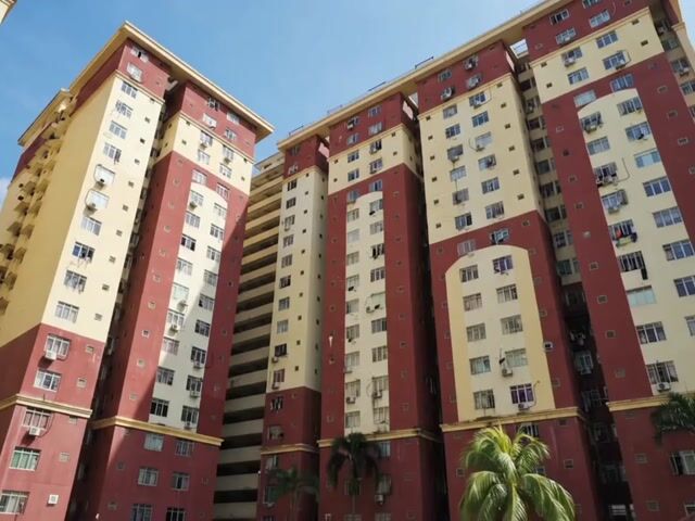 Video Image 1