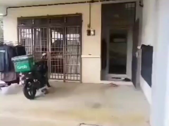 Video Image 1