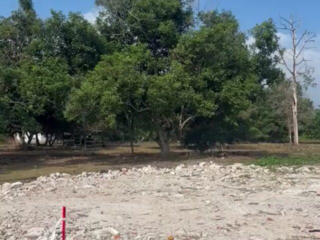 Video Image 1