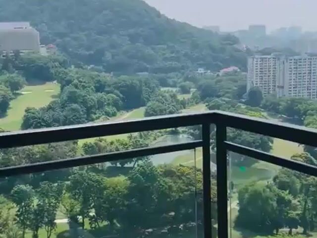 Video Image 1