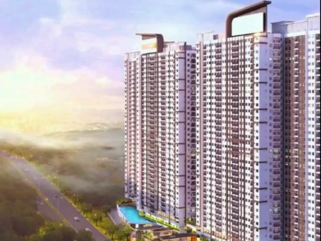 Video Image 1