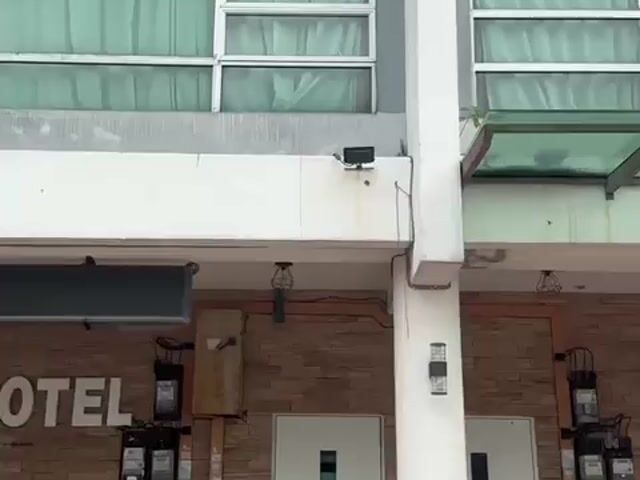 Video Image 1