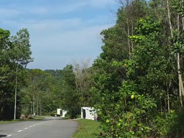Video Image 1