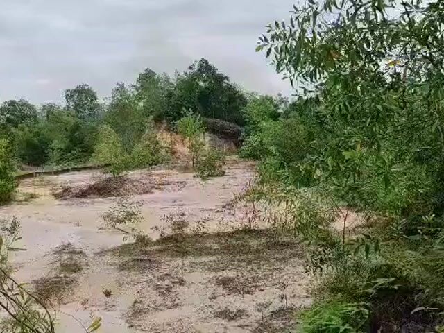 Video Image 1