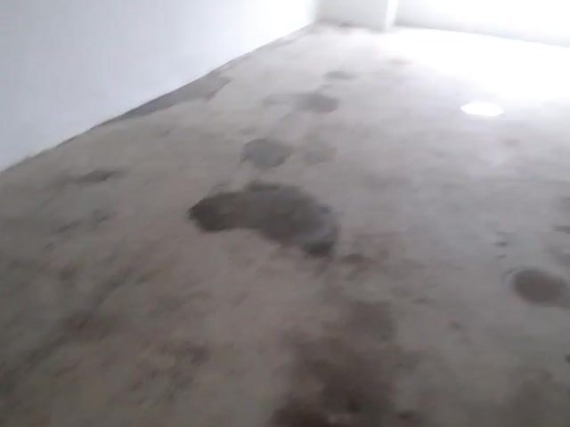 Video Image 1