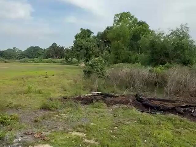 Video Image 1