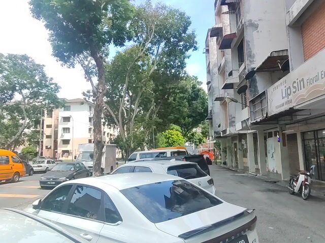 Video Image 1