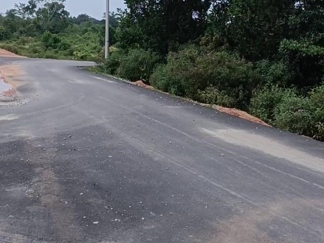 Video Image 1