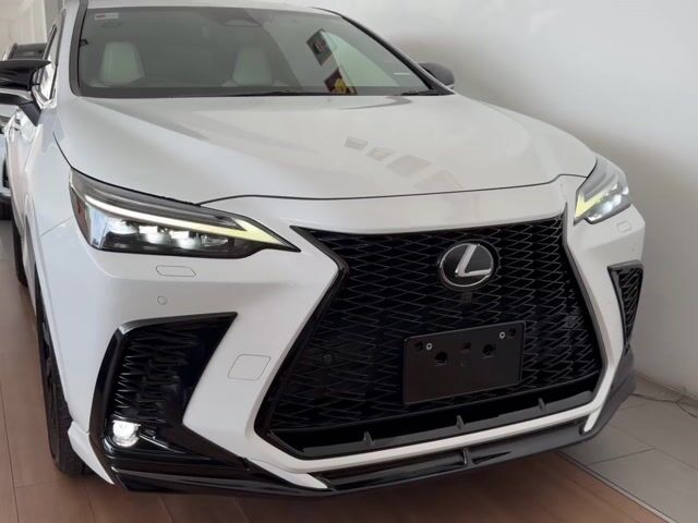 2022 Lexus NX350 2.4 F SPORT/TRD KIT/SUNROOF/HUD - 1
