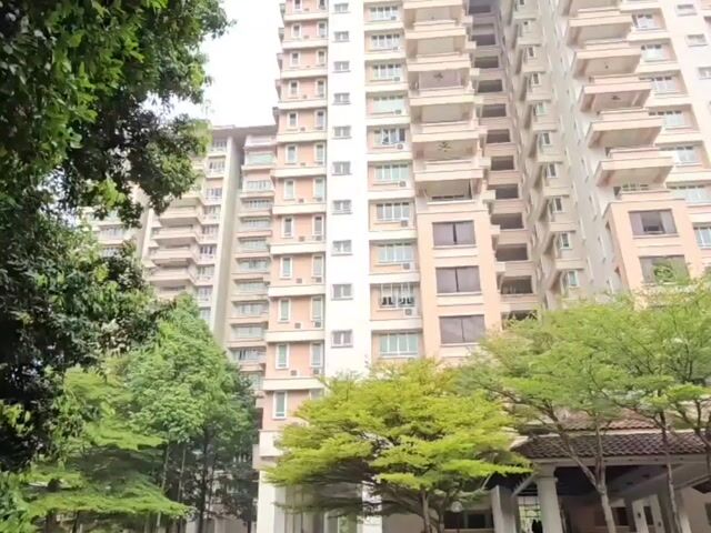 Video Image 1