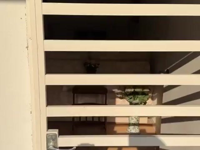 Video Image 1