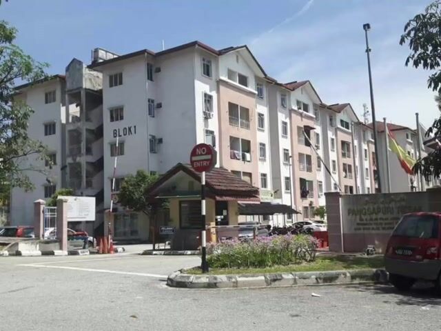 Video Image 1
