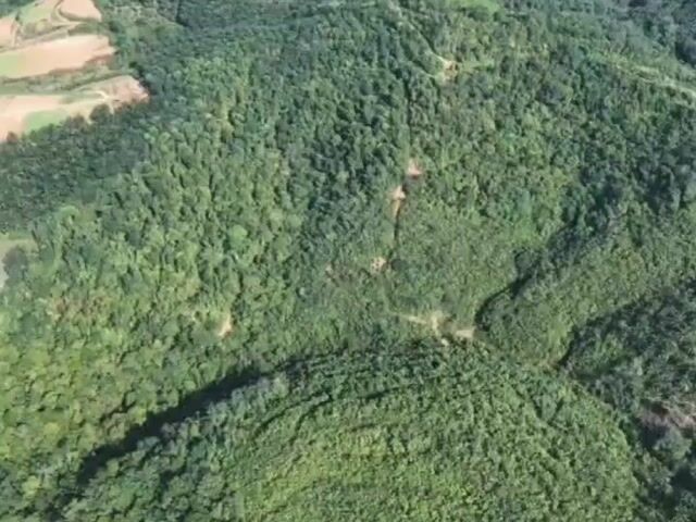 Video Image 1