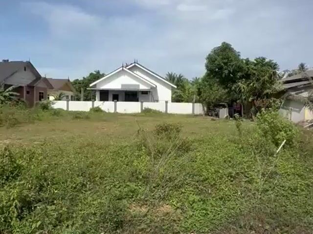 Video Image 1