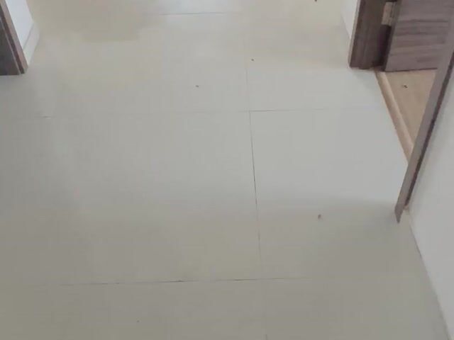 Video Image 1