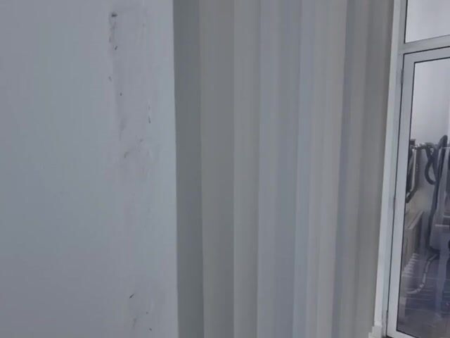Video Image 1