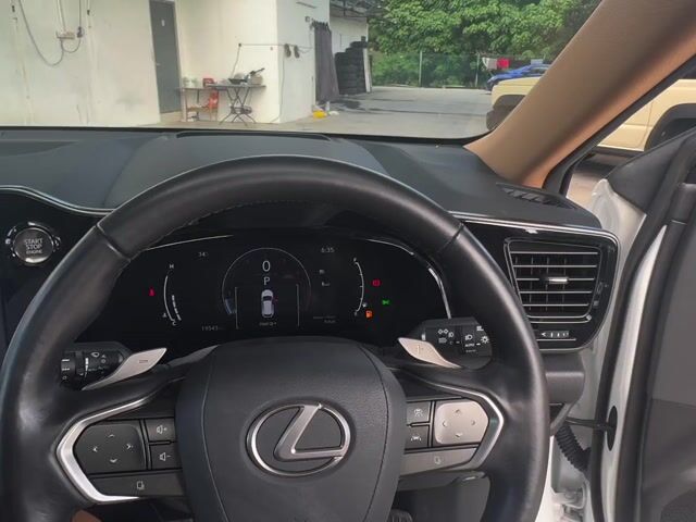 2023 Lexus NX250 2.5 LUXURY (A) - 1