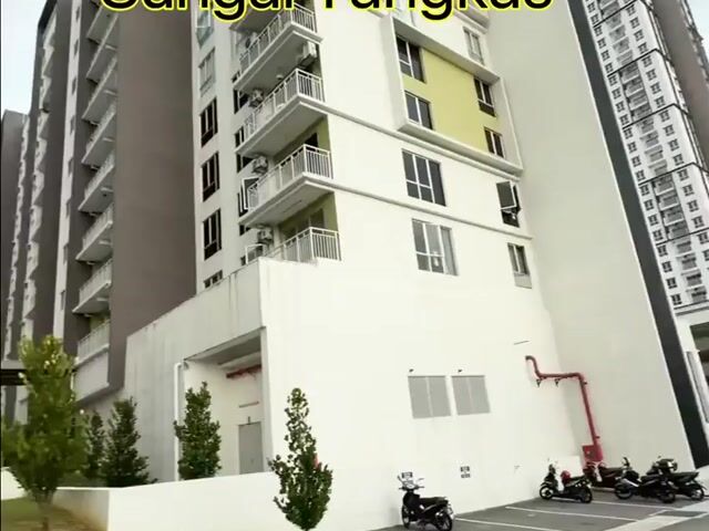 Video Image 1