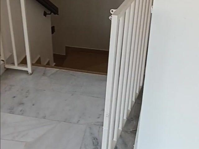 Video Image 1
