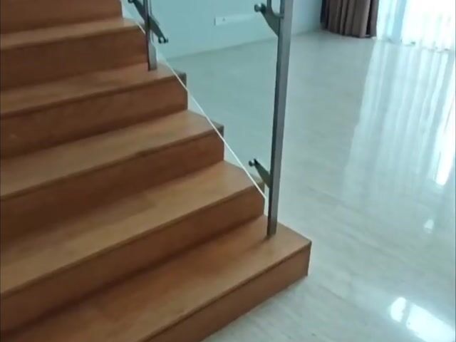 Video Image 1