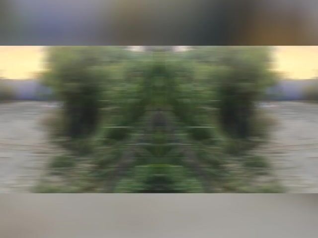Video Image 1