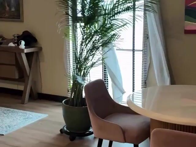 Video Image 1
