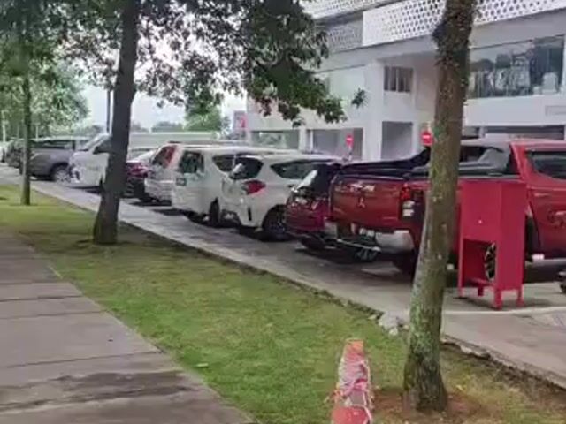 Video Image 1