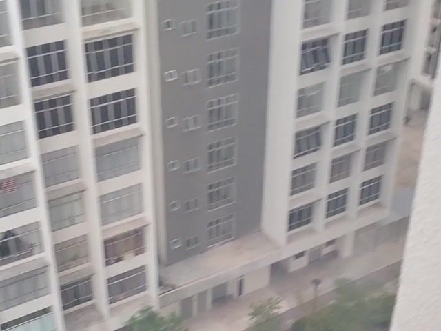 Video Image 1