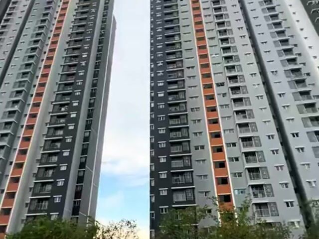 Video Image 1