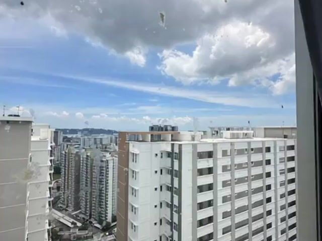 Video Image 1