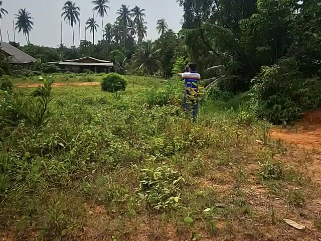 Video Image 1