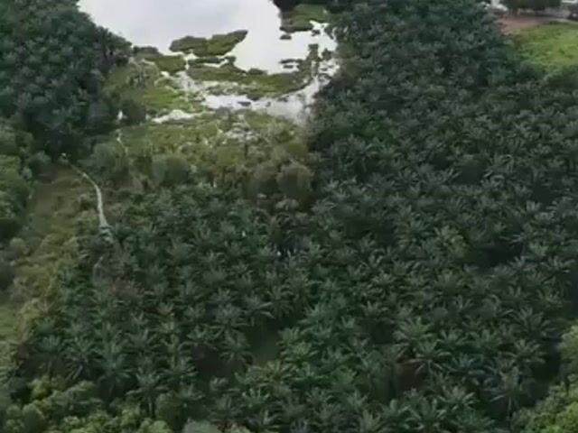 Video Image 1