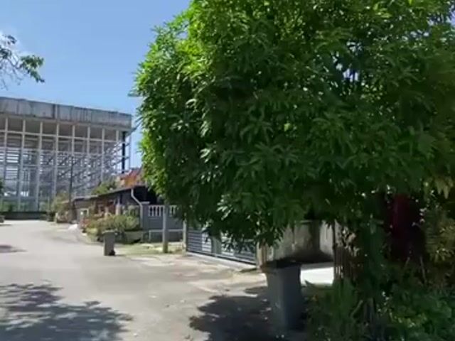 Video Image 1